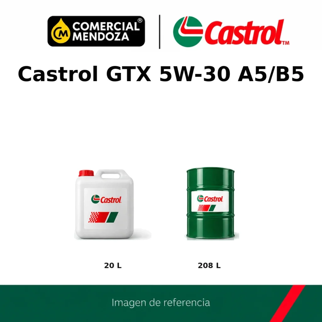 Castrol GTX 5W-30 A5/B5